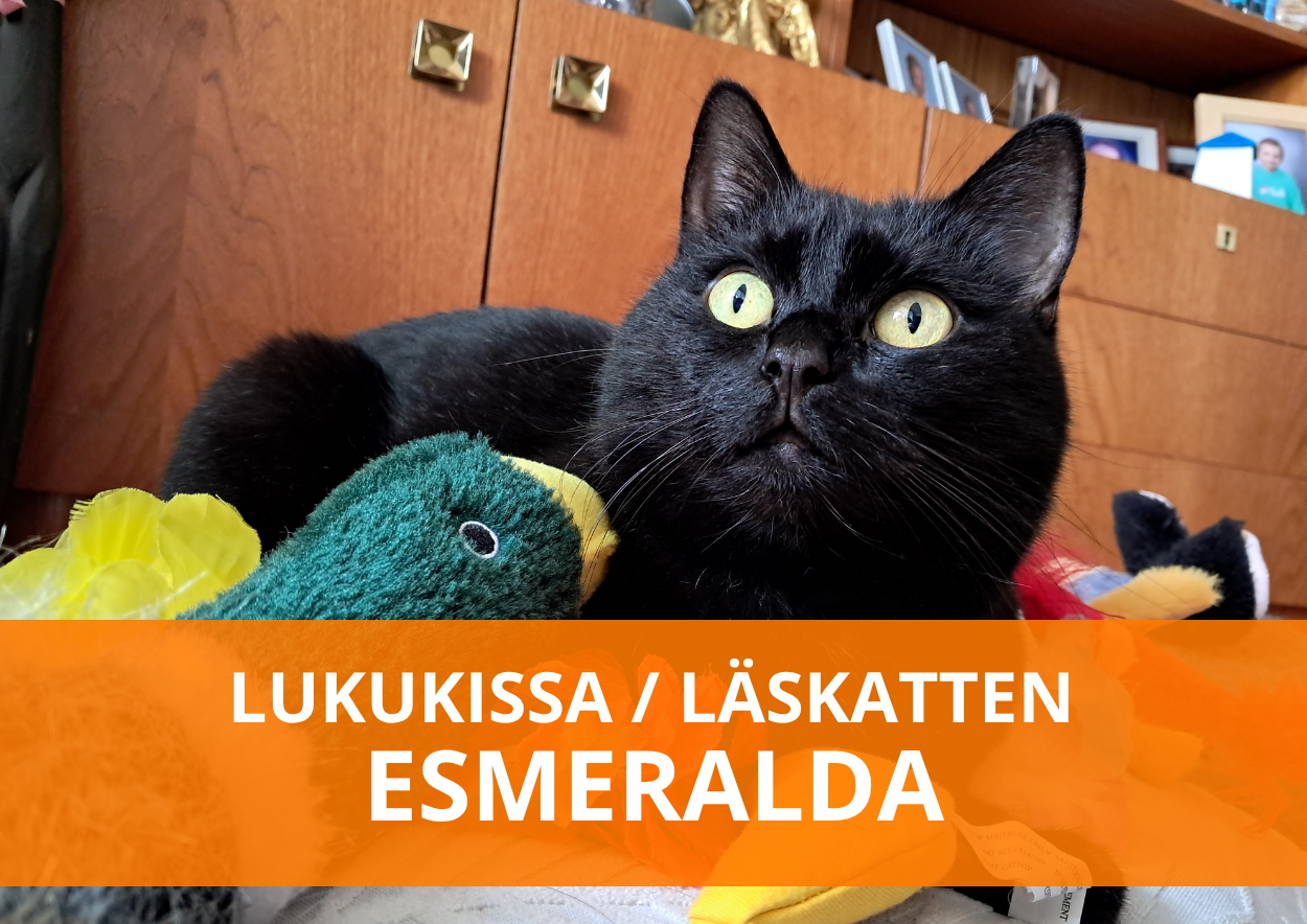 Lukukissa Esmeralda